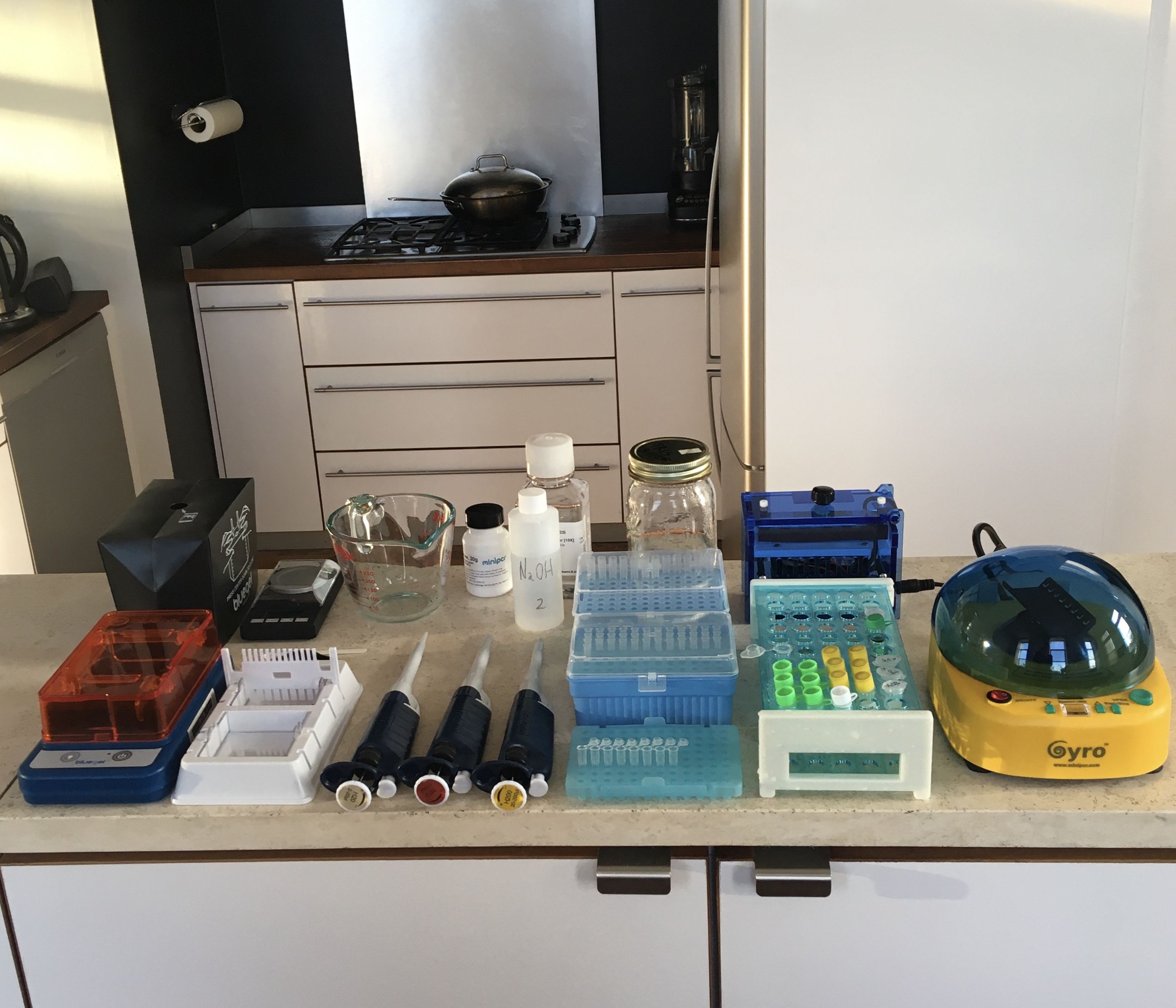 My PCR journey: how NAMP turned me into a kitchen scientist